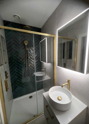 bathroom-reno-project-Sandyford-2